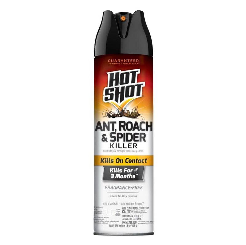 Hot Shot Ant, Roach & Spider Killer — Fragrance-Free 17.5oz product package