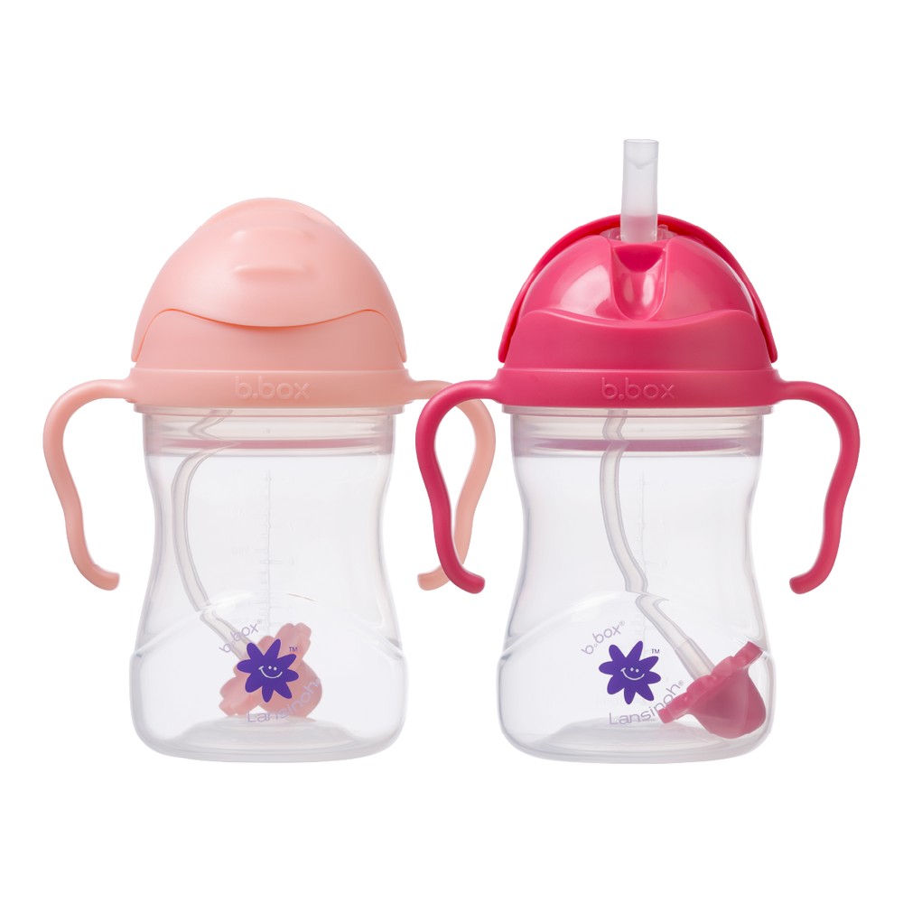 Lansinoh b.box Straw Cup Twin Pack Tutti Frutti + Raspberry product package