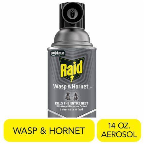 Raid Wasp & Hornet Killer 14oz product package