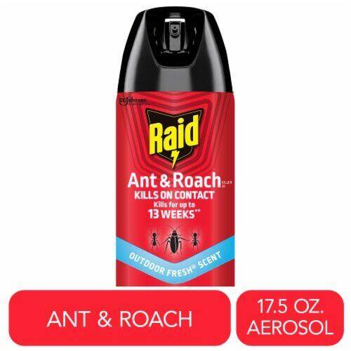 Raid Ant & Roach Killer, Outdoor Fresh Scent 17.5oz product package